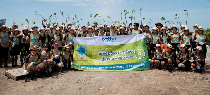 Brother Mangrove Reforestation 2016