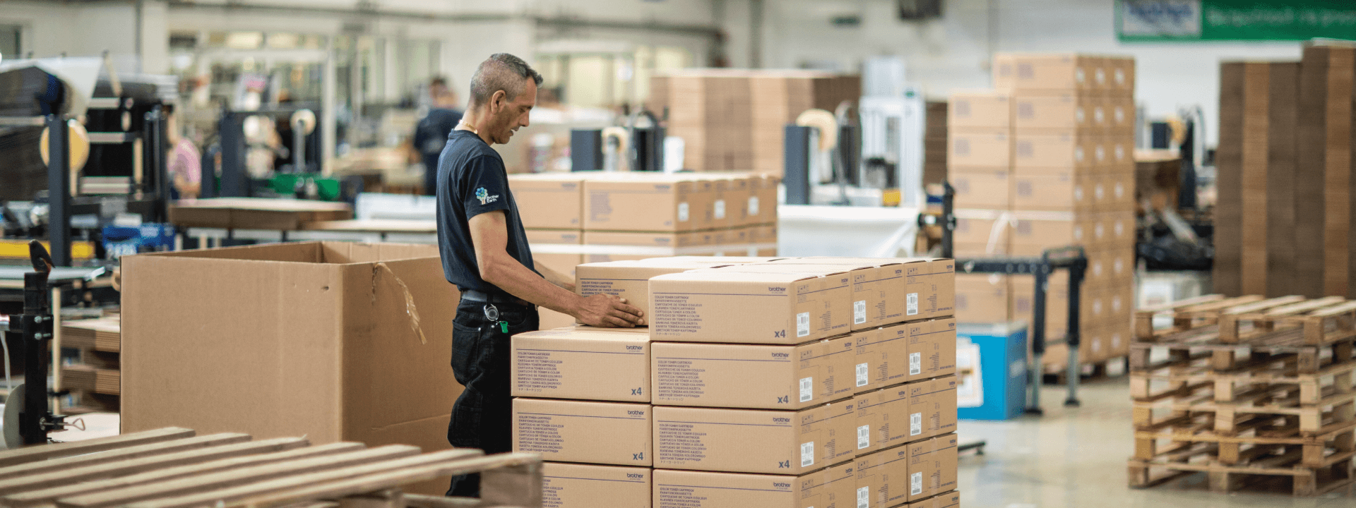 TH_Pallet Automisation Banner