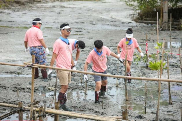 BrotherMangrove3